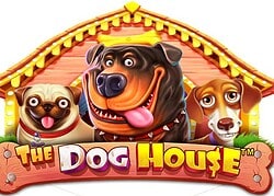 Dog House GGbet Casino Game